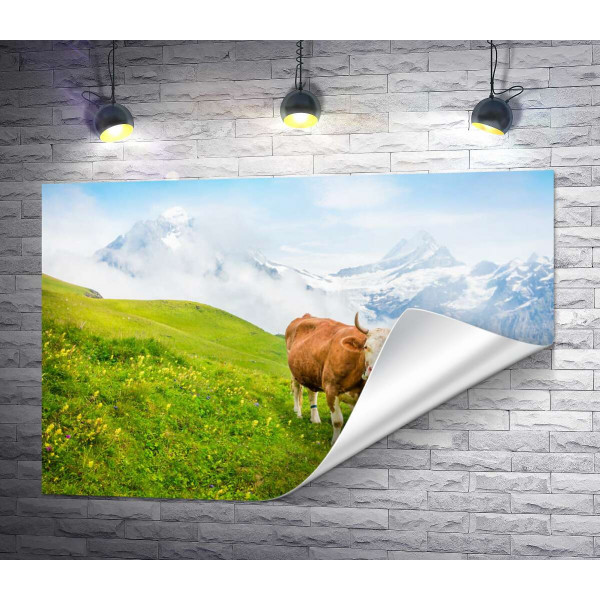 Корова на сочно-зеленом лугу на фоне гор