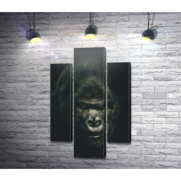 Портрет горили в темних тонах