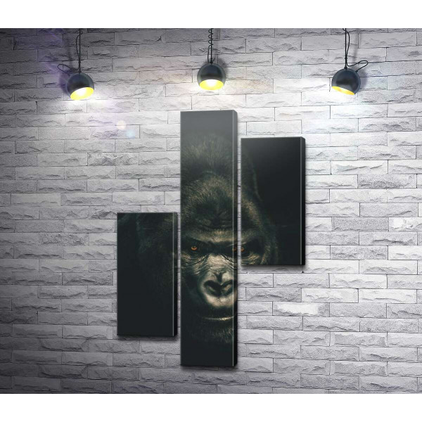 Портрет горили в темних тонах