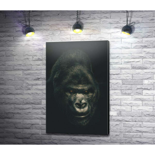 Портрет гориллы в темных тонах