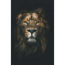 Портрет льва в темных тонах
