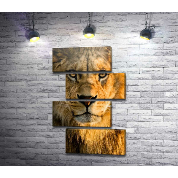 Портрет величного лева