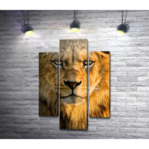 Портрет величного лева