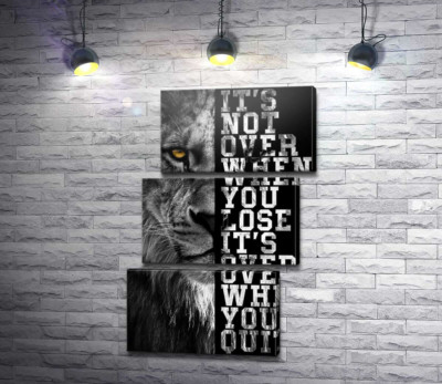 Лев и надпись "It's not over when you lose, it's over when you quit"