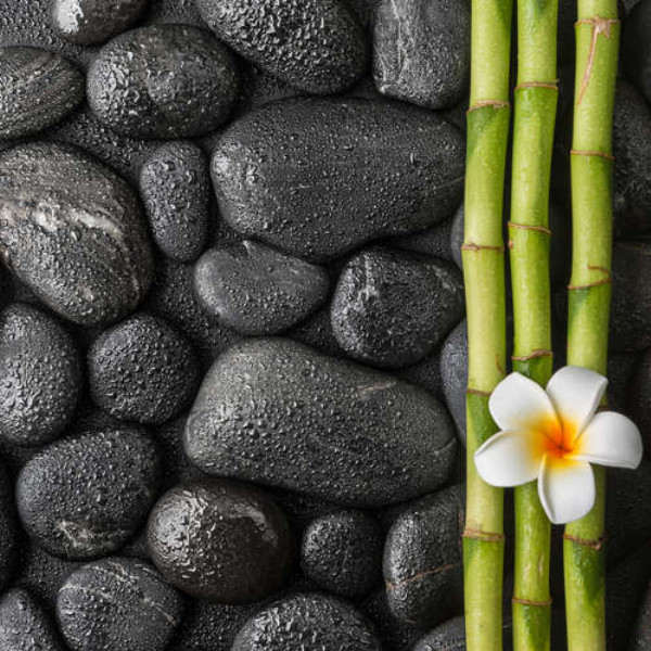 Спа композиція: плюмерія, бамбук та чорне каміння