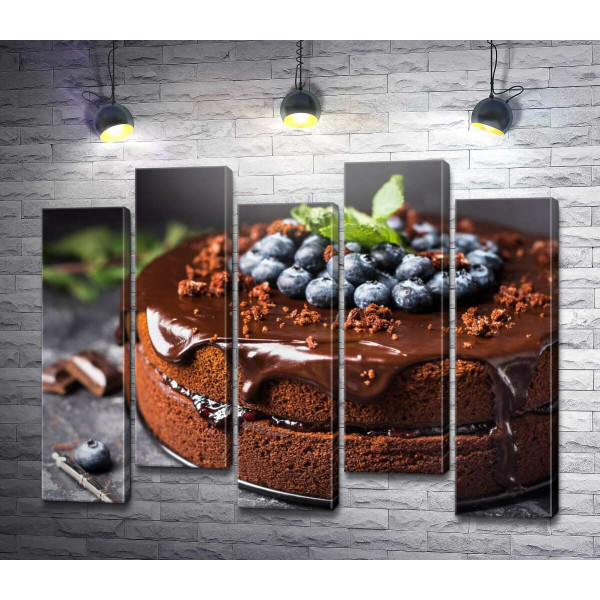 Шоколадный торт с голубикой
