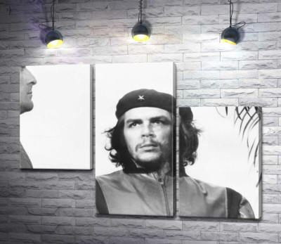 Модульная картина "Пристальный взгляд Че Гевары"