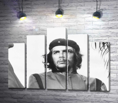 Пристальный взгляд Че Гевары