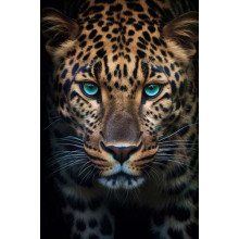 Портрет леопарда с бирюзовыми глазами