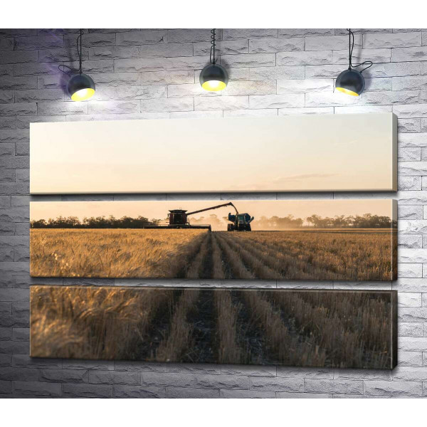 Комбайн и трактор в поле пшеницы