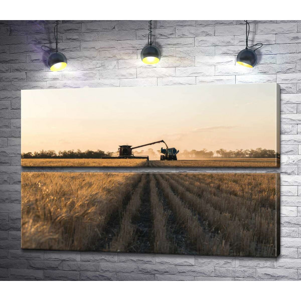 Комбайн и трактор в поле пшеницы