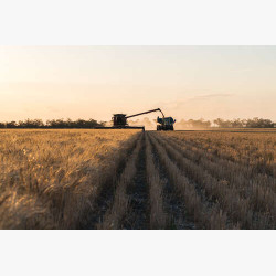 Комбайн та трактор у полі пшениці
