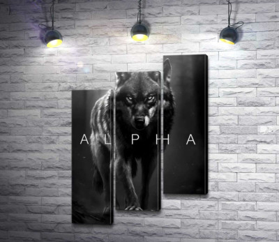 Модульная картина "Альфа-волк"