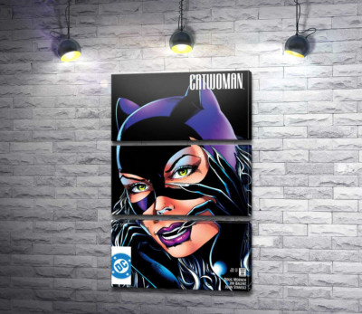 Модульная картина "Женщина-кошка из комиксов DC"