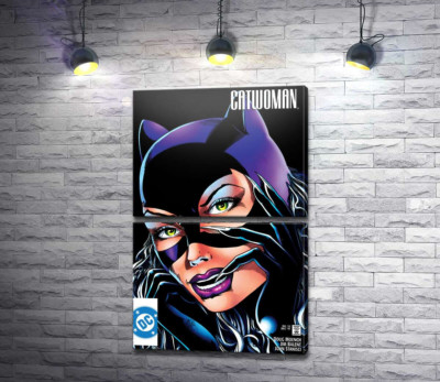 Женщина-кошка из комиксов DC