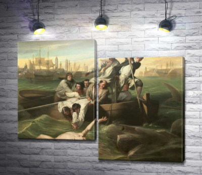 Уотсон и акула