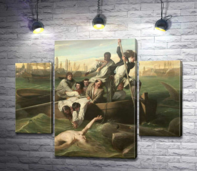 Вотсон та акула