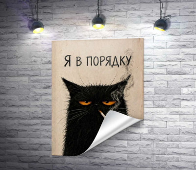Кот с сигаретой
