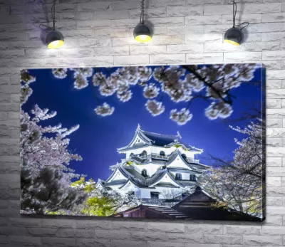 Средневековый японский замок Хикона (Hikone Castle) весной