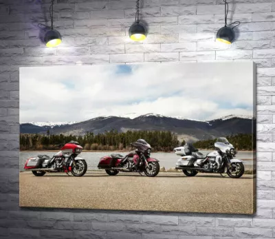Три мотоцикла Harley-Davidson Road Glide стоят на берегу реки