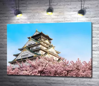 Японский замок Осака (Osaka) в объятиях цветущих сакур
