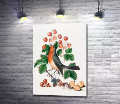 Зарянка та суниця