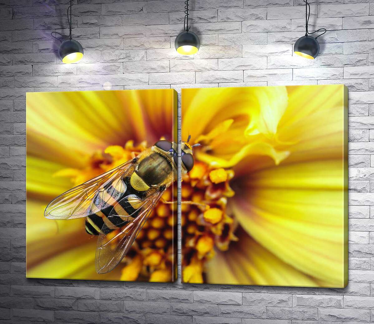 модульная картина Хрупкая пчела опыляет солнечно-желтый цветок