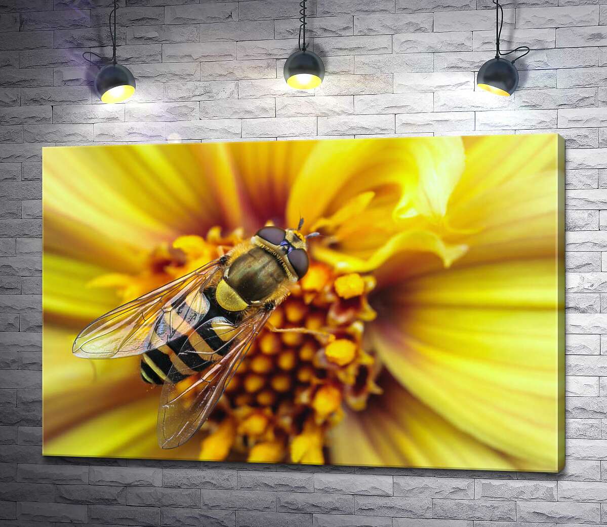 картина Хрупкая пчела опыляет солнечно-желтый цветок