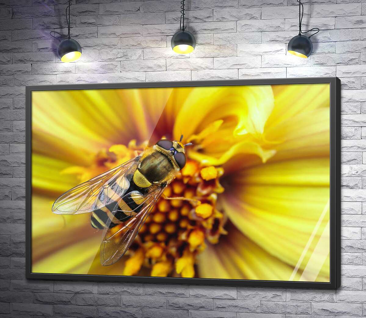 постер Хрупкая пчела опыляет солнечно-желтый цветок