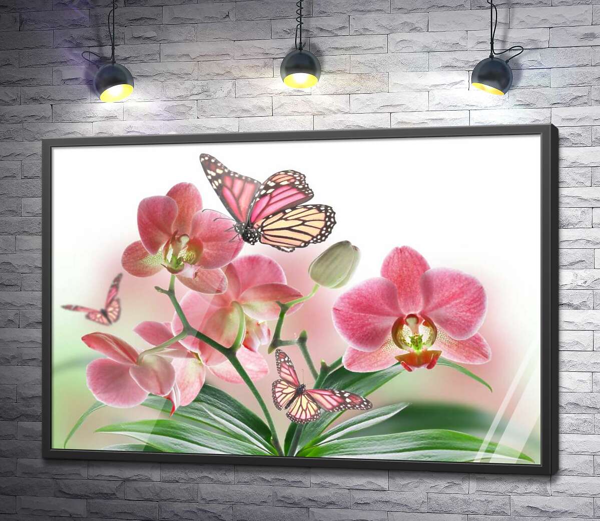 постер Бабочки среди орхидей: розовая магия природы
