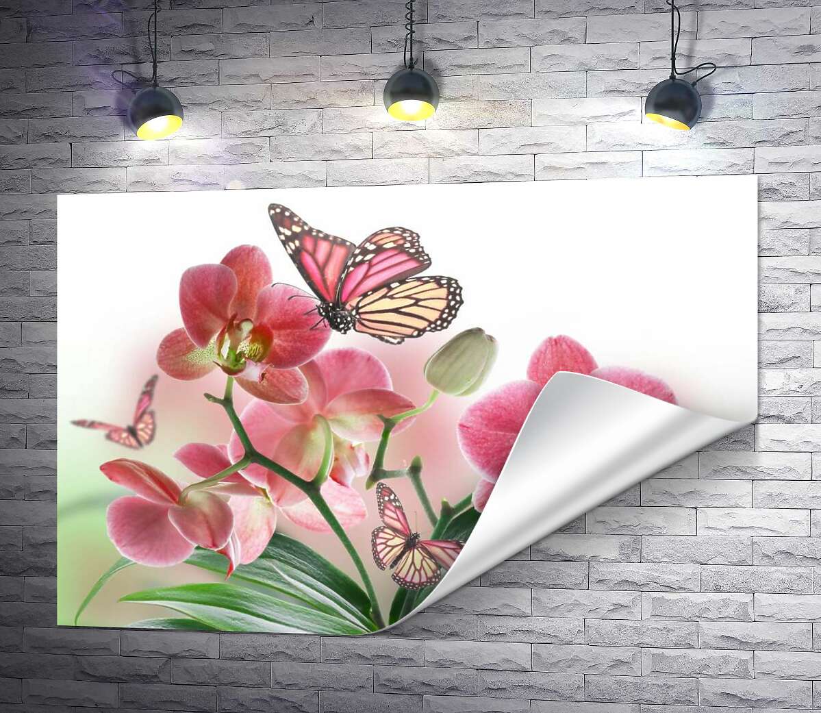 печать Бабочки среди орхидей: розовая магия природы
