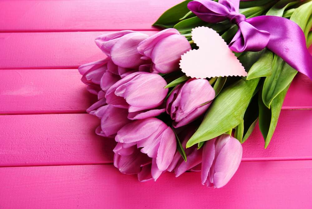 картина-постер Сиреневые тюльпаны на розовом фоне