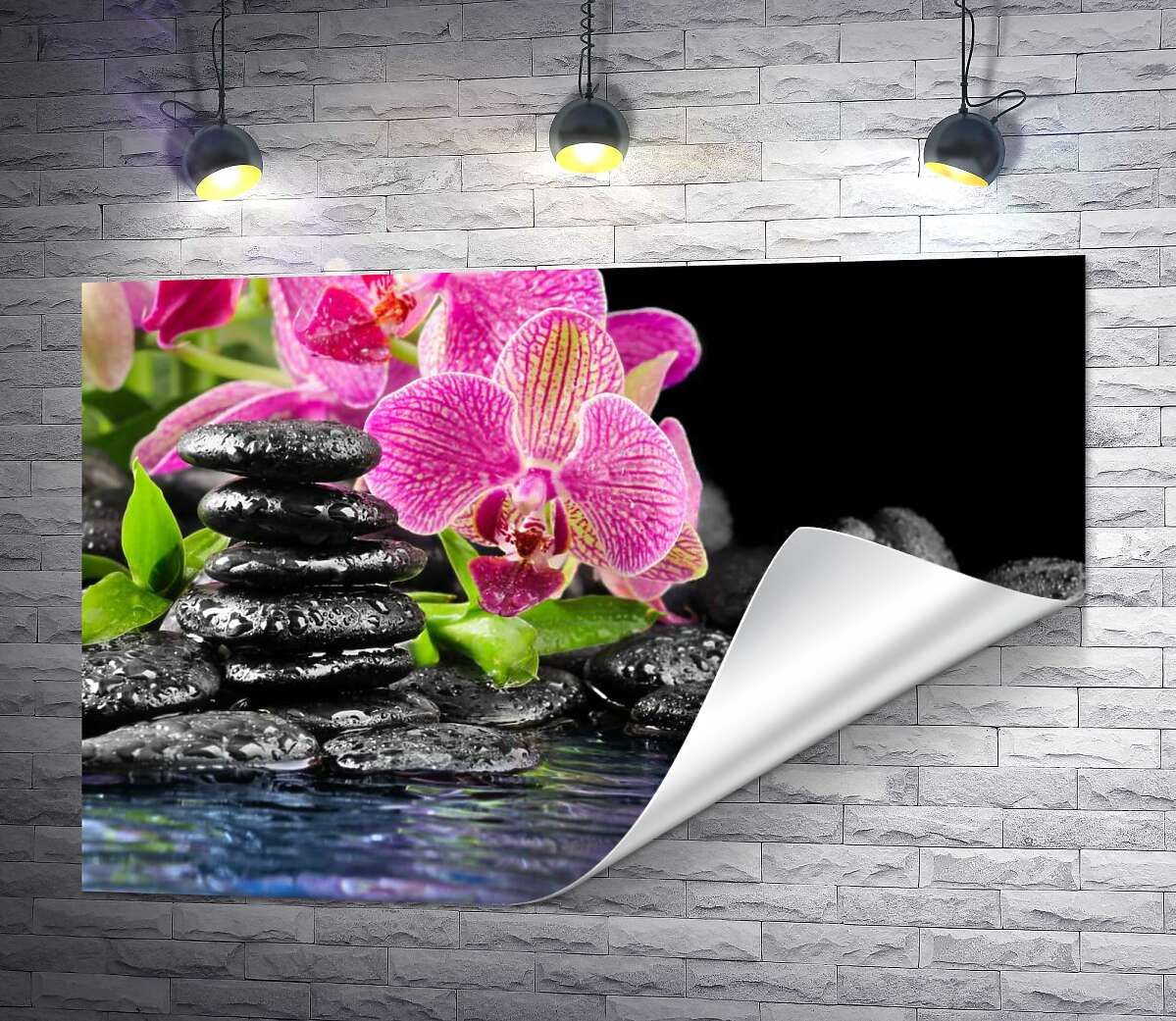 печать Темно-розовые орхидеи среди прозрачной водной глади и угольно-черных камней