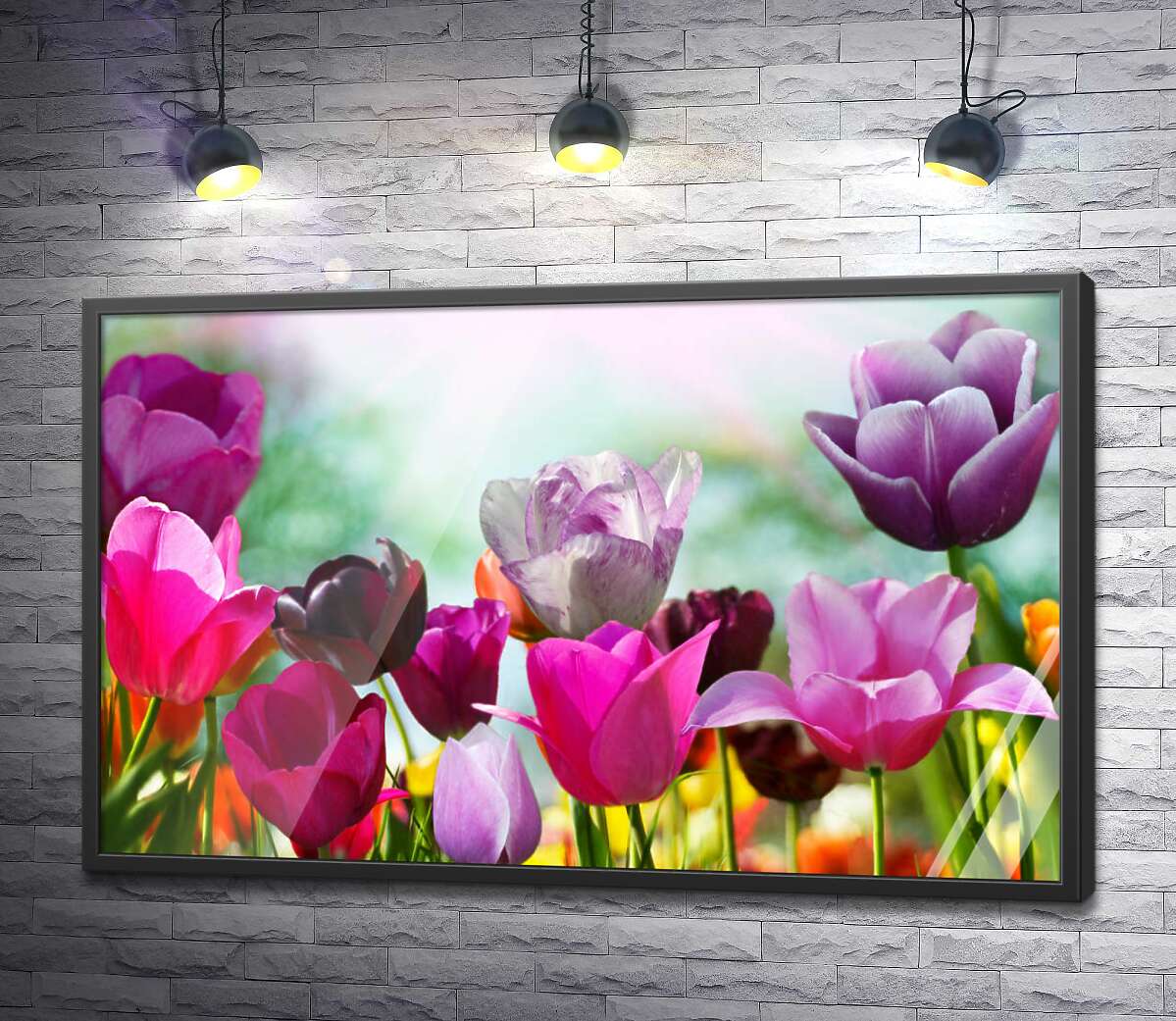 постер Сочные краски хрупких тюльпанов