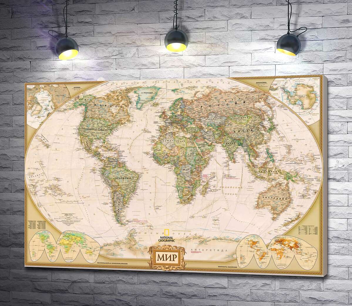 картина Универсальная карта мира от National Geographic