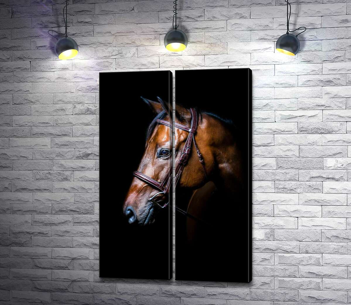 модульная картина Благородный конь гнедой масти в уздечке