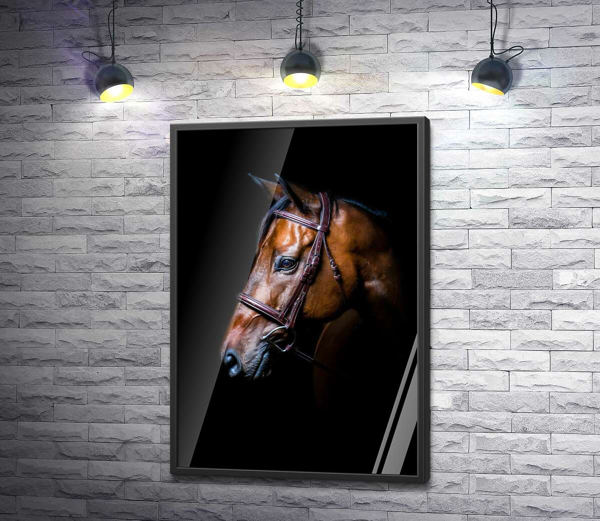 постер Благородный конь гнедой масти в уздечке