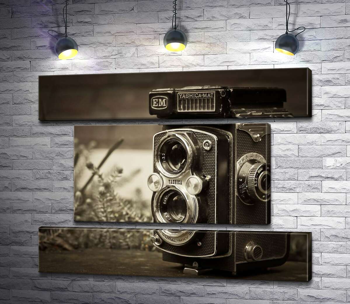модульна картина Японське диво 80-х у фотоапараті Yashica-Mat (Модуль №18)