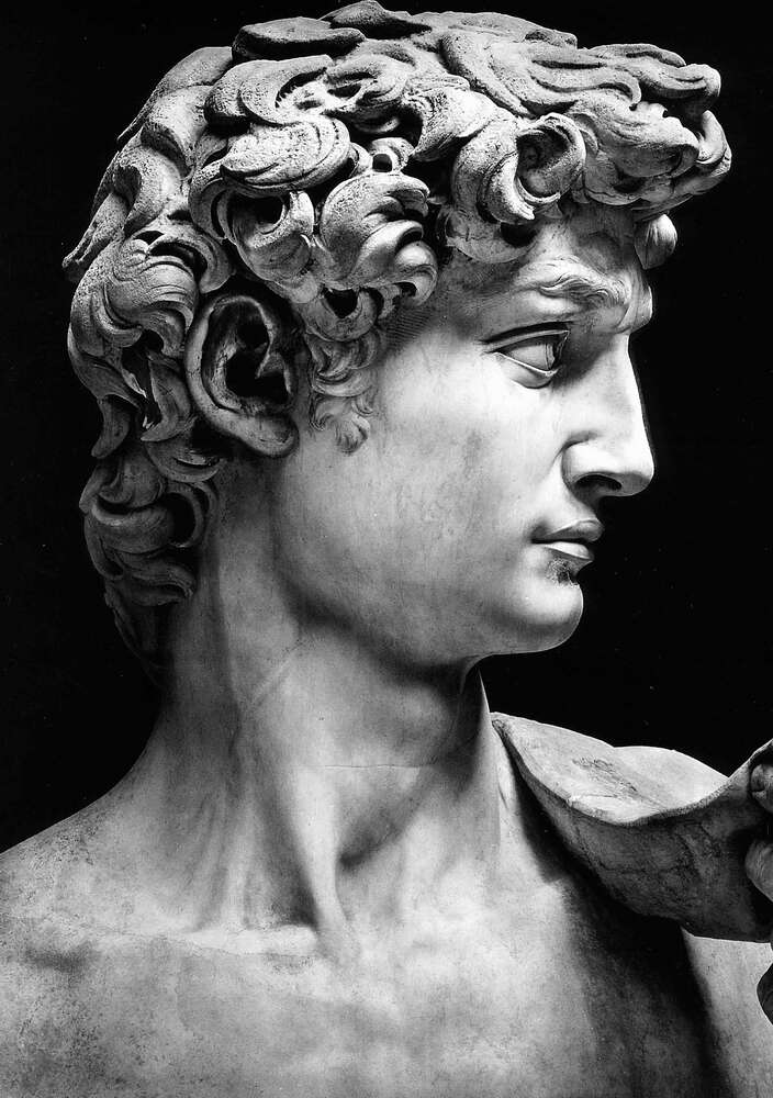 картина-постер Профиль скульптуры Давида (David) - Микеланджело Буонарроти (Michelangelo Buonarroti)
