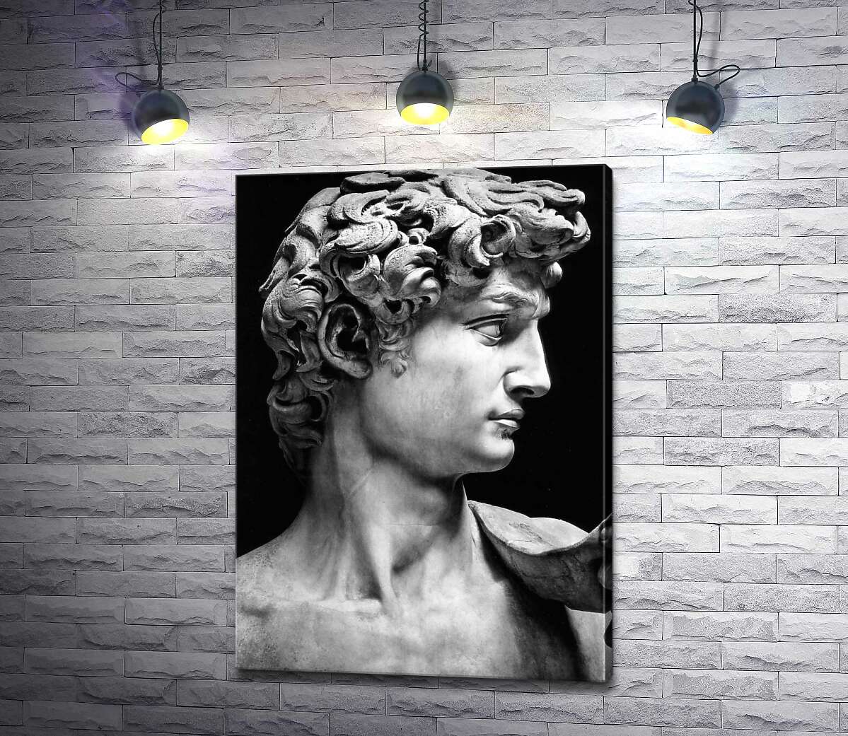 картина Профиль скульптуры Давида (David) - Микеланджело Буонарроти (Michelangelo Buonarroti)