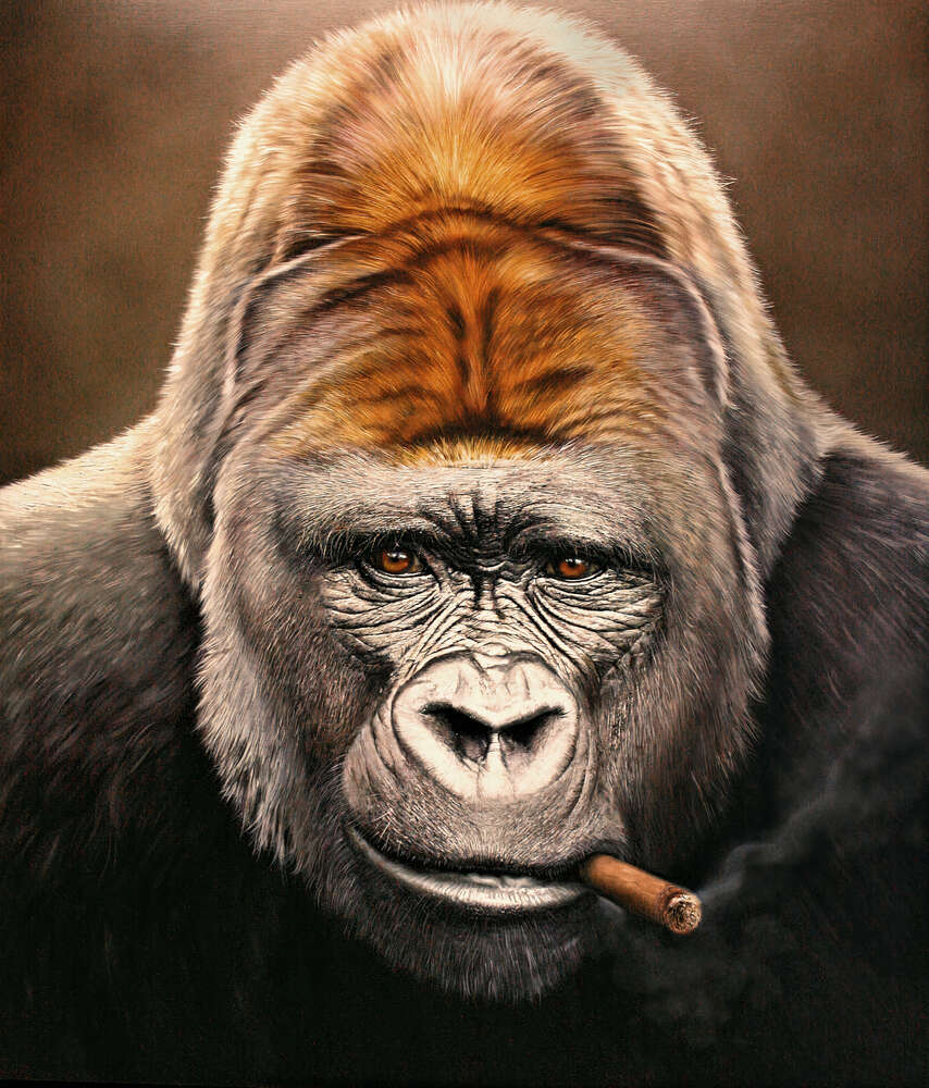 картина-постер Портрет гориллы, курящей сигару