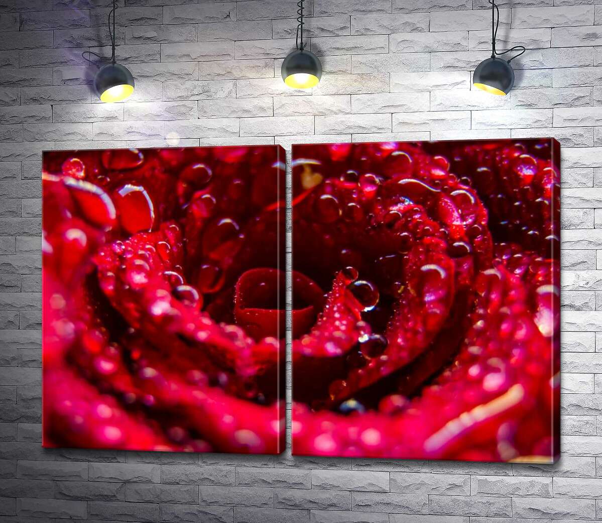 модульна картина Прозорі краплі роси прикрашають червону троянду