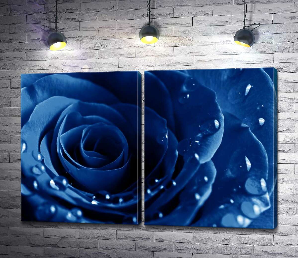 модульна картина Пелюстки ультрамариново-синьої троянди в легких краплях роси