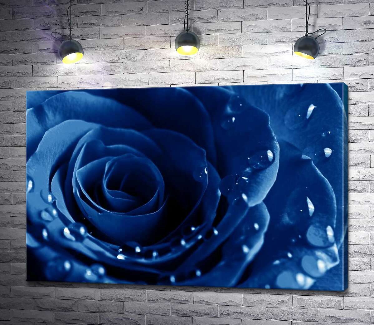 картина Лепестки ультрамариново-синей розы в легких каплях росы