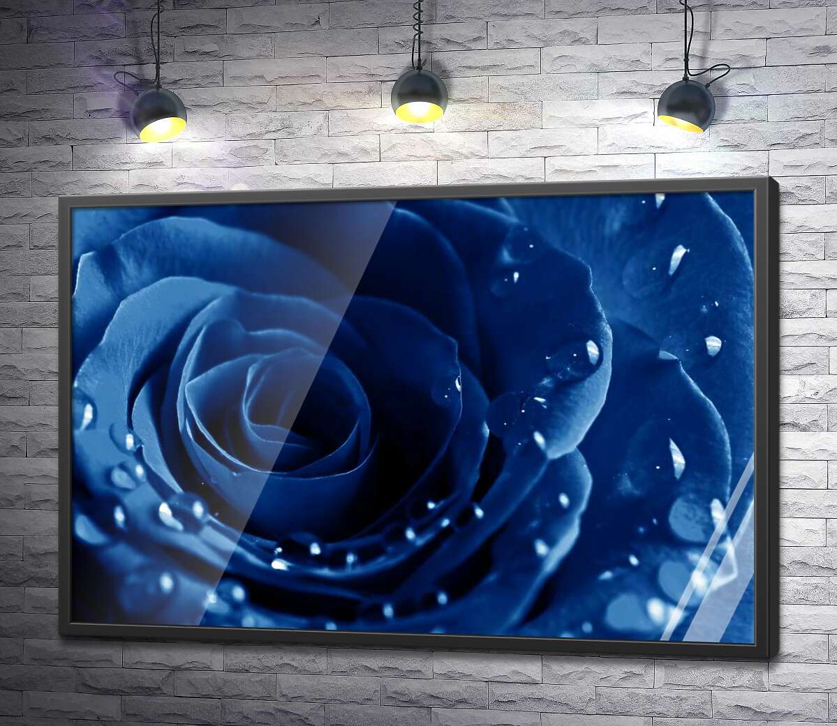 постер Пелюстки ультрамариново-синьої троянди в легких краплях роси