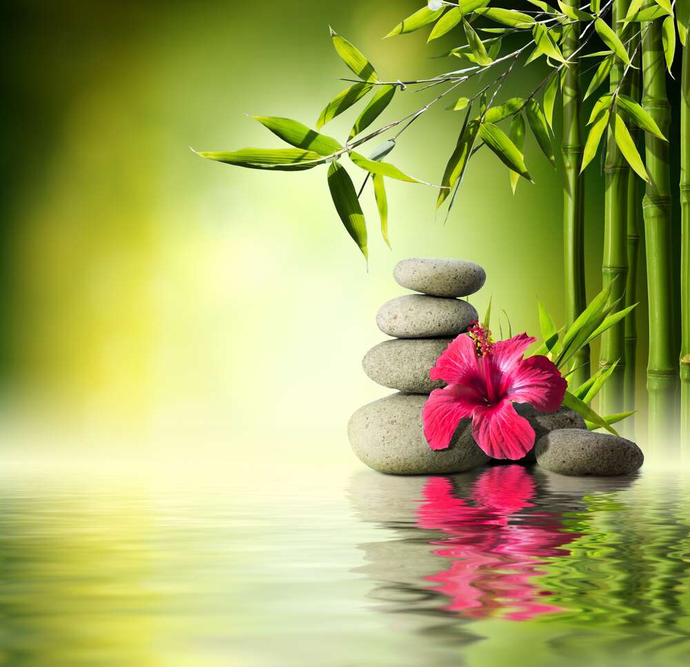 картина-постер Малинова квітка гібіскуса та стрункий бамбук серед сірого каміння на зеленій поверхні води