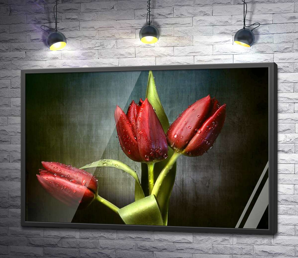 постер Сочно-красные тюльпаны, омытые свежей росой