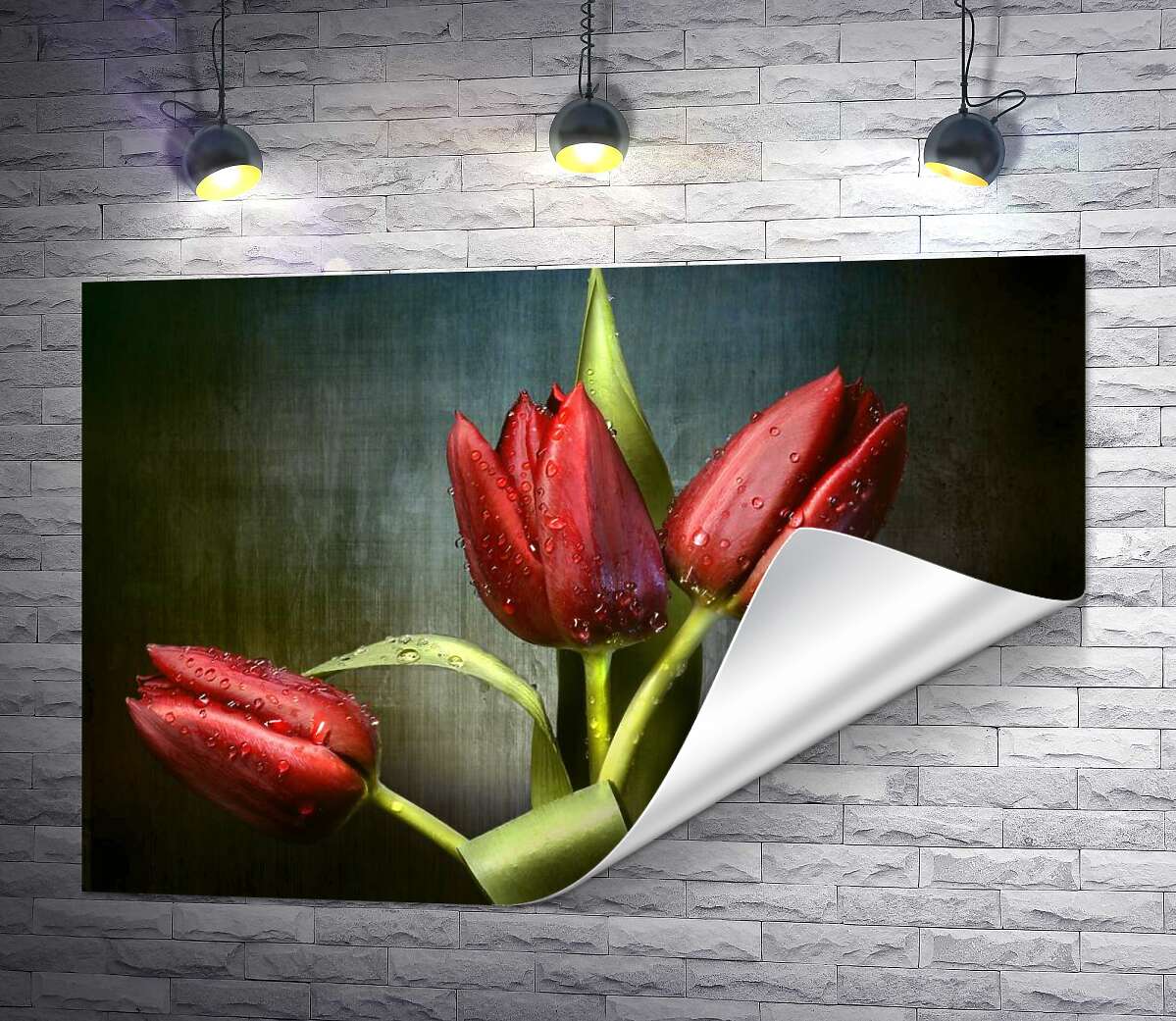 друк Соковито-червоні тюльпани, омиті свіжою росою