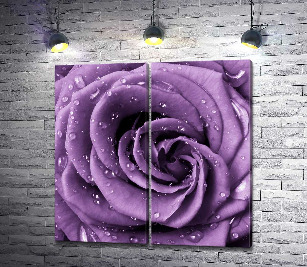 модульная картина Пышный цветок розы лавандового цвета