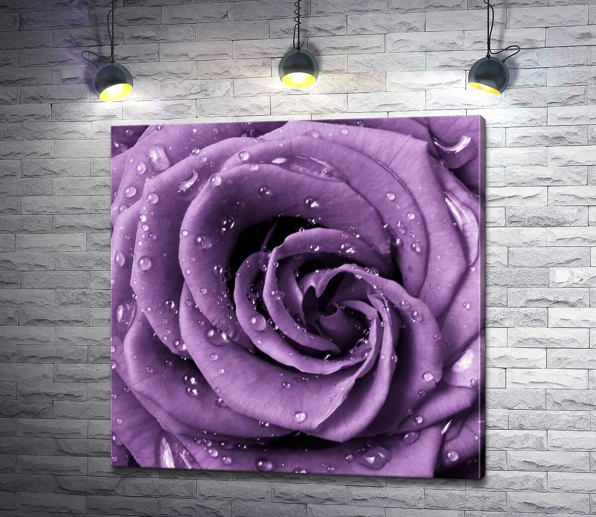 картина Пышный цветок розы лавандового цвета